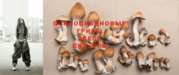 крисы Балабаново